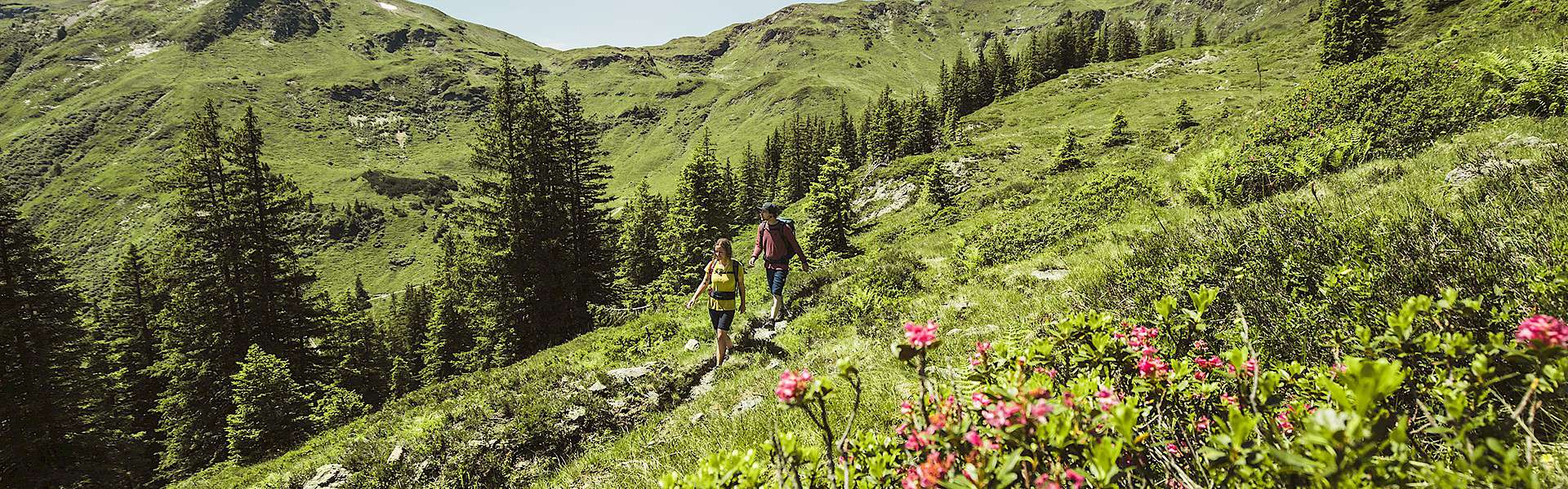 wandern-_-hiking-in-saalbach-hinterglemm_5.1920x600.jpg